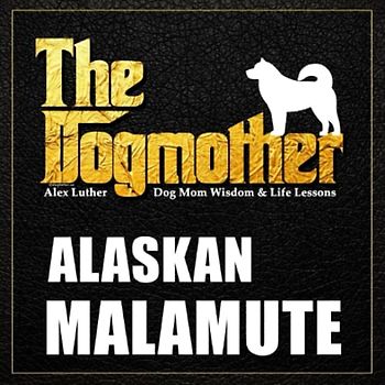 The Dogmother: Alaskan Malamute: (Dog Mom Wisdom & Life Lessons)