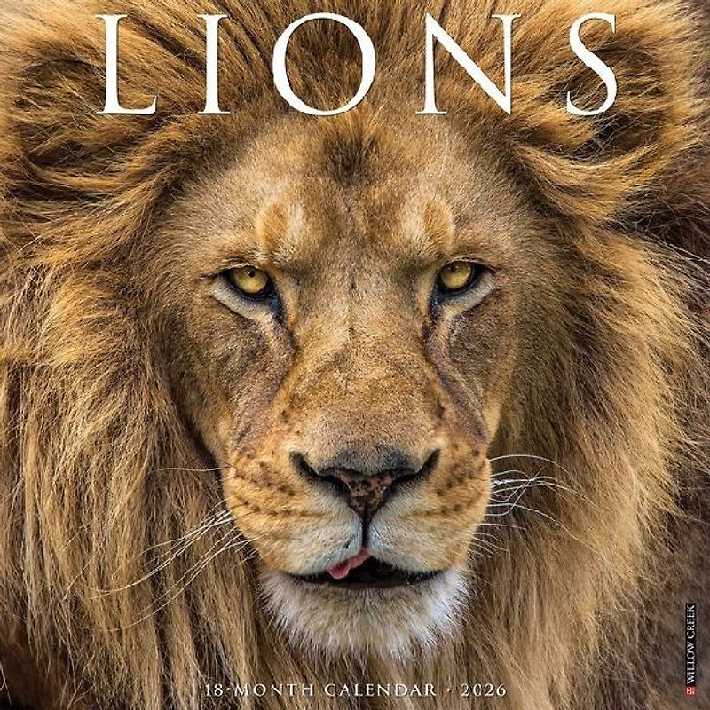 Lions 12 X 12 Wall Calendar