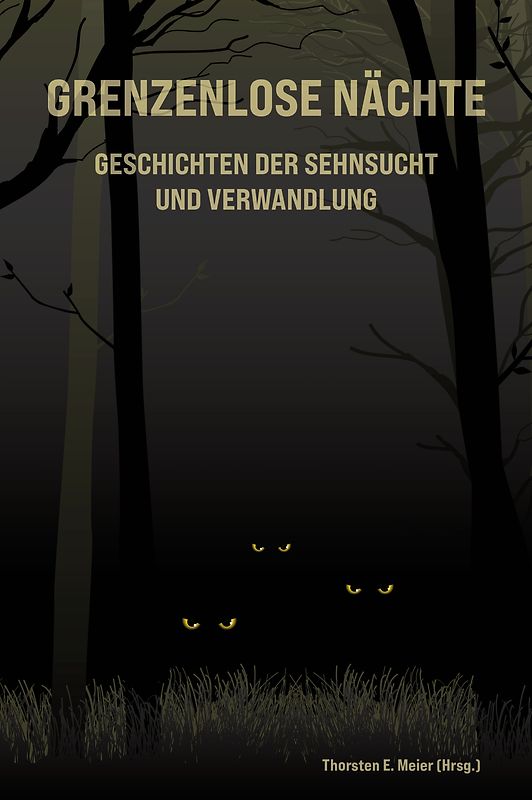 Grenzenlose Nächte - Geschichten der Sehnsucht und Verwandlung