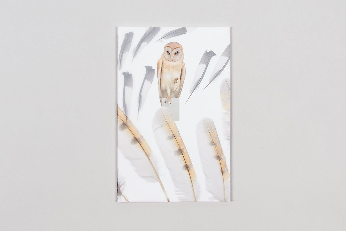 Federleicht und daunenweich