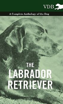 The Labrador Retriever - A Complete Anthology of the Dog