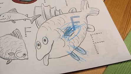 Kundenbild für Pettersson und Findus. Das große Vorschulbuch