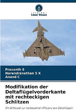 Modifikation der Deltaflügelvorderkante mit rechteckigen Schlitzen