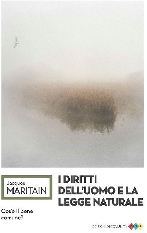 I diritti dell'uomo e la legge naturale