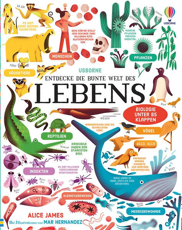 Entdecke die bunte Welt des Lebens