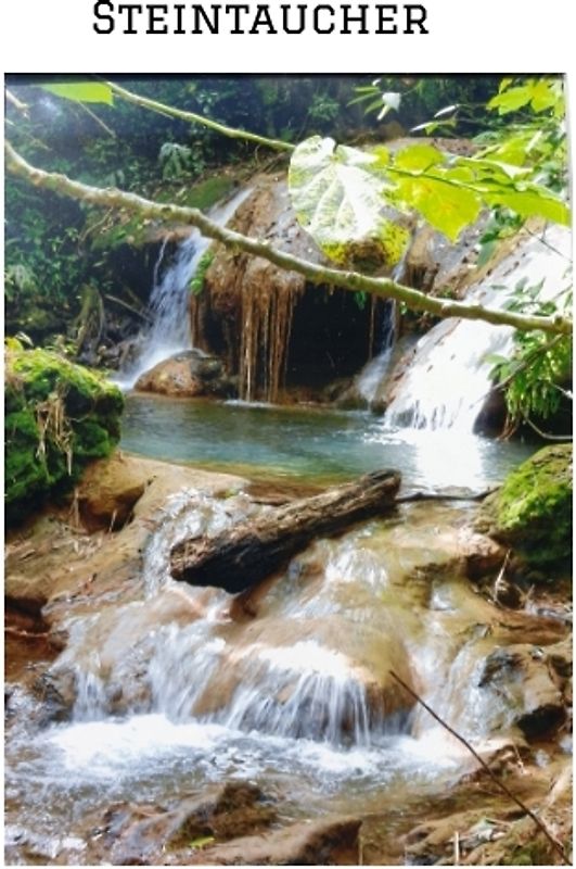 "STEINTAUCHER " Liebesdurstige Beobachtungen eines in die Jahre gekommenen Mannes. Gerade so,als hätte da jemand noch einmal seine Träume an das Firmament gehangen.