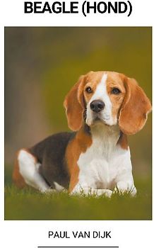 Beagle (Hond)