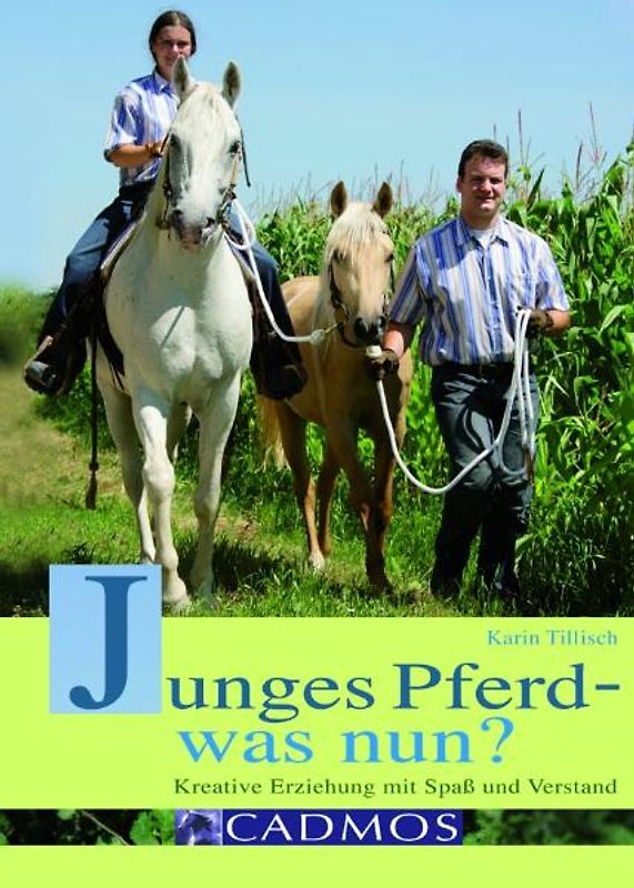Junges Pferd - was nun?