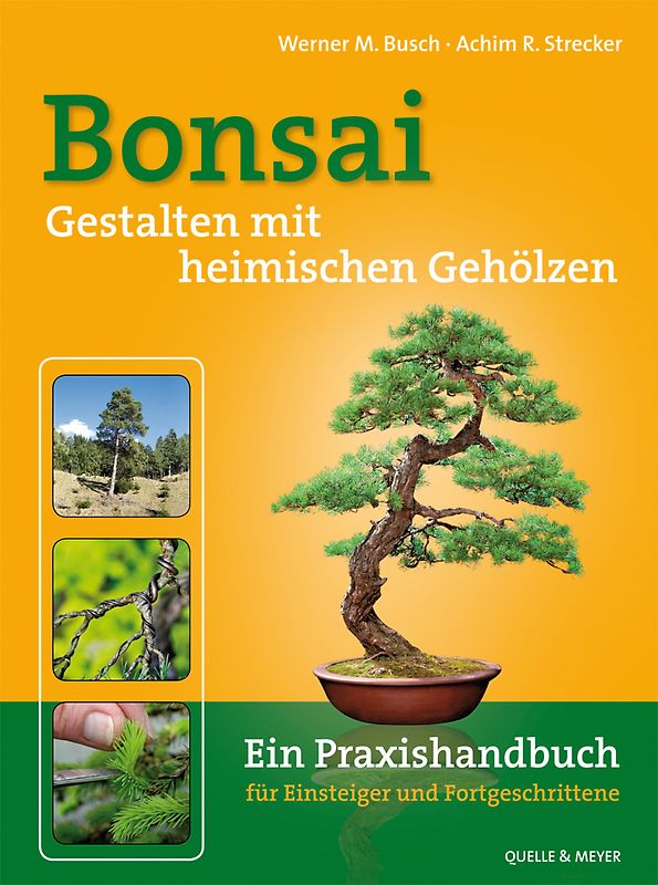 Bonsai - Gestalten mit heimischen Gehölzen