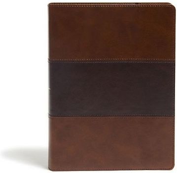 KJV Study Bible, Full-Color, Saddle Brown Leathertouch, Indexed