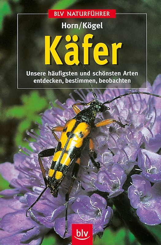 Käfer