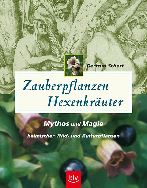 Zauberpflanzen - Hexenkräuter