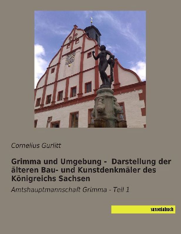 Grimma und Umgebung -  Darstellung der älteren Bau- und Kunstdenkmäler des Königreichs Sachsen
