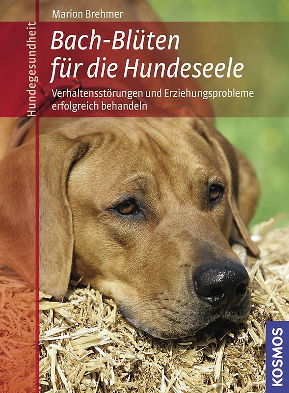 Bach-Blüten für die Hundeseele