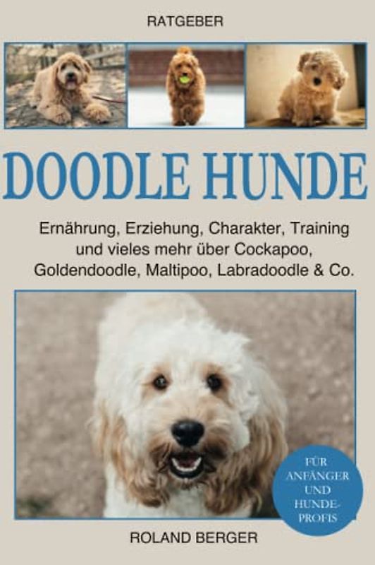 Doodle Hunde: Ernährung, Erziehung, Charakter, Training und vieles mehr über Cockapoo, Goldendoodle, Maltipoo, Labradoodle & Co.