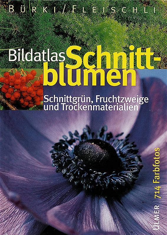 Bildatlas Schnittblumen