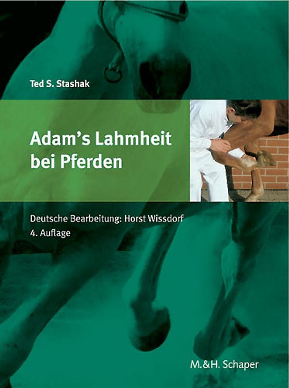 Adam's Lahmheit bei Pferden