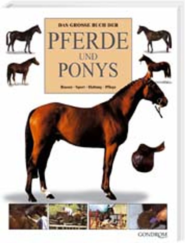 Das grosse Buch der Pferde & Ponys