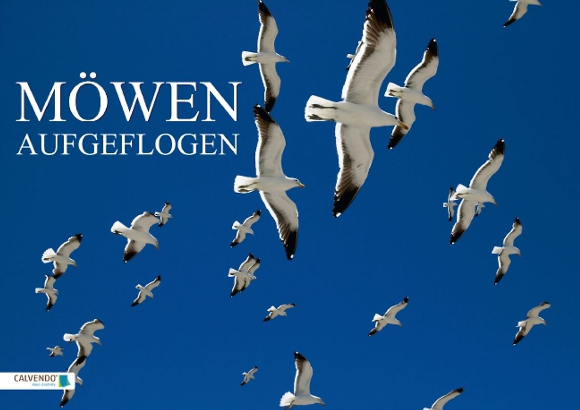 Möwen – Aufgeflogen (Posterbuch DIN A3 quer)