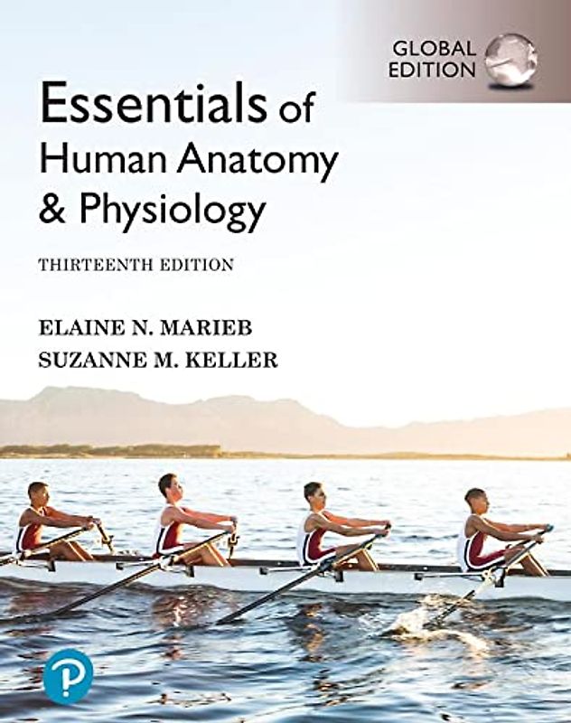 Essentials of Human Anatomy & Physiology, Global Edition + Mastering A&P with Pearson eText