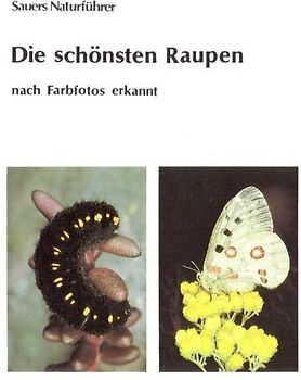 Die schönsten Raupen -