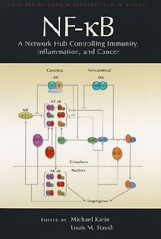 Nf-κb: A Network Hub Controlling Immunity, Inflammation, and Cancer