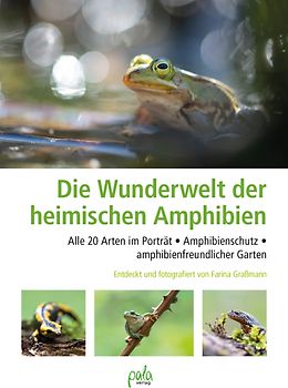 Wunderwelt heimische Amphibien