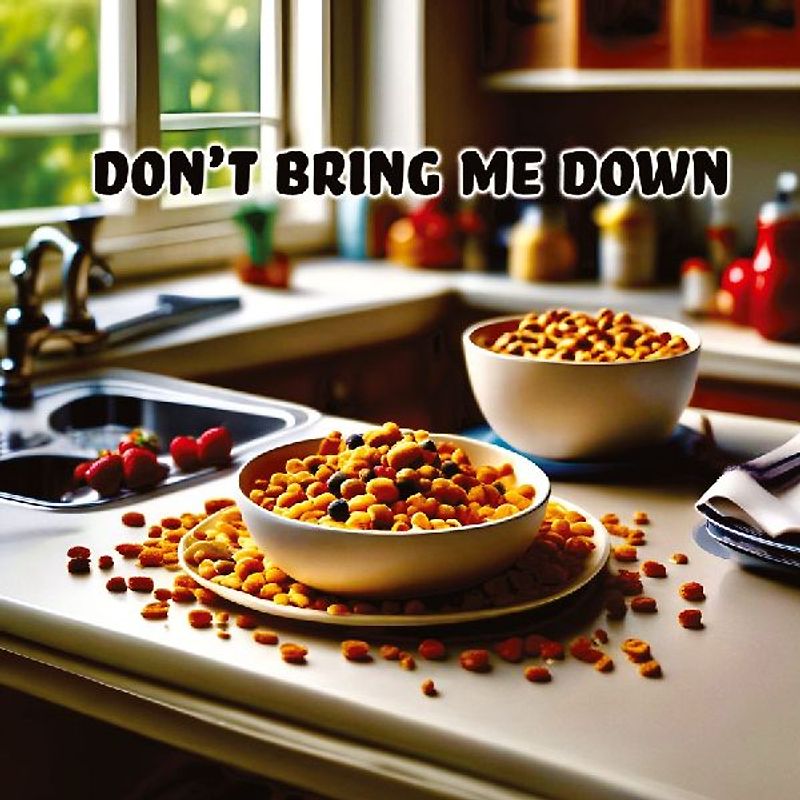 Don't Bring Me Down