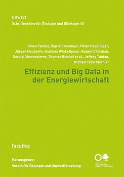 Effizienz und Big Data in der Energiewirtschaft