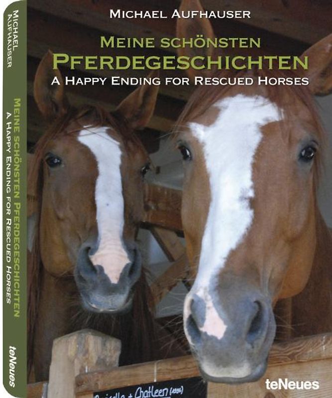 Meine schönsten Pferdegeschichten