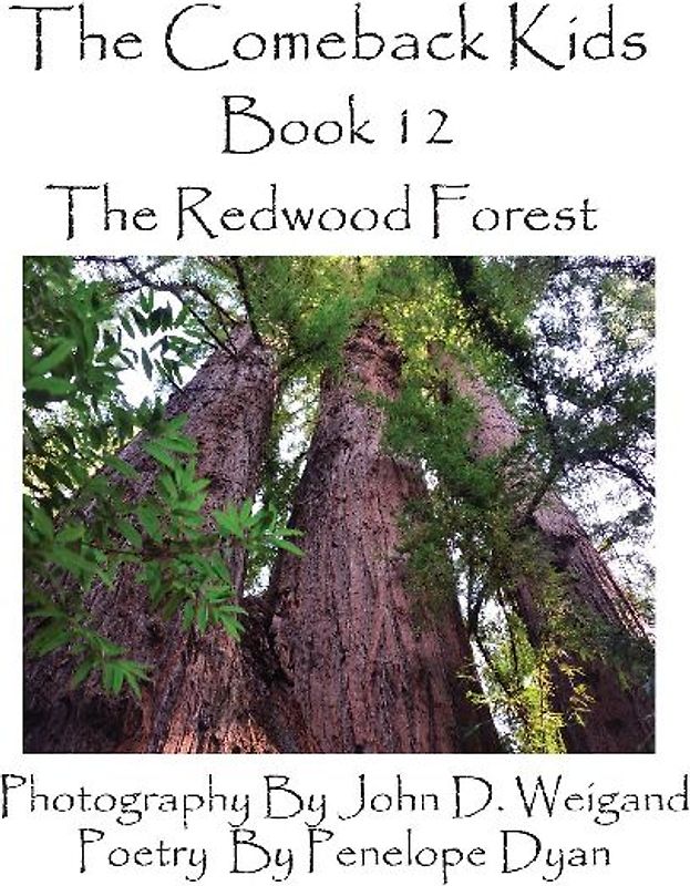 The Comeback Kids, Book 12, the Redwood Forest