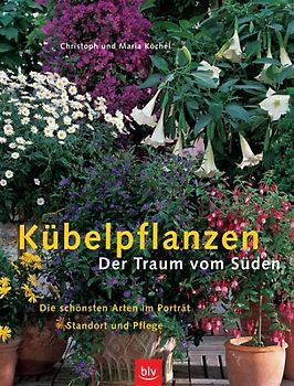 Kübelpflanzen Der Traum vom Süden