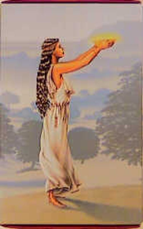 Die Avalon-Trilogie. Die Wälder von Avalon /Die Herrin von Avalon /Die Nebel von Avalon