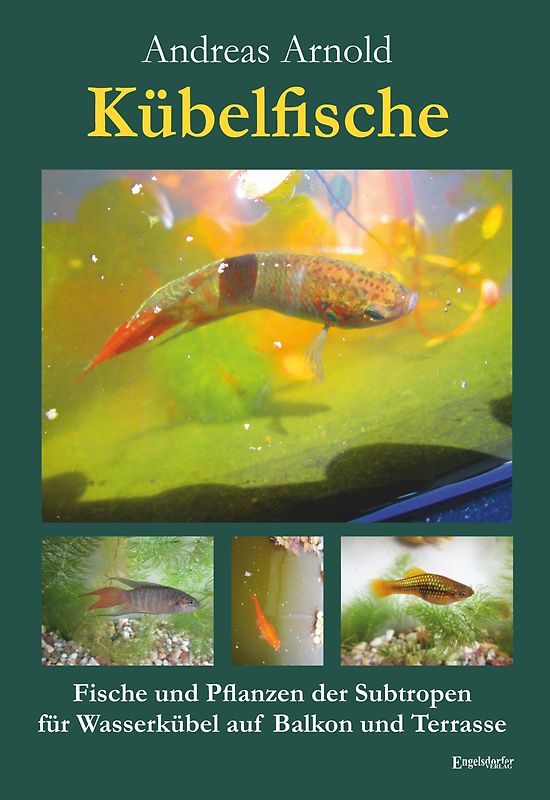 Kübelfische