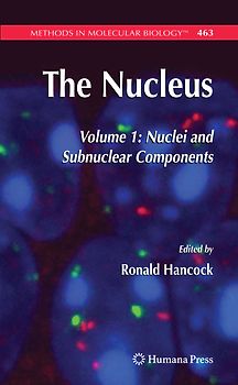 The Nucleus