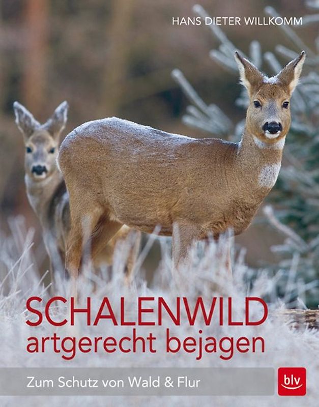Schalenwild artgerecht bejagen