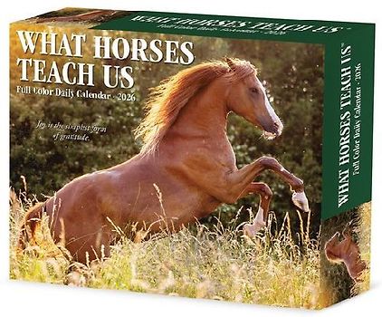 What Horses Teach Us 2026 5.4 X 6.2 Box Calendar