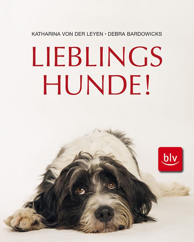 Lieblingshunde!