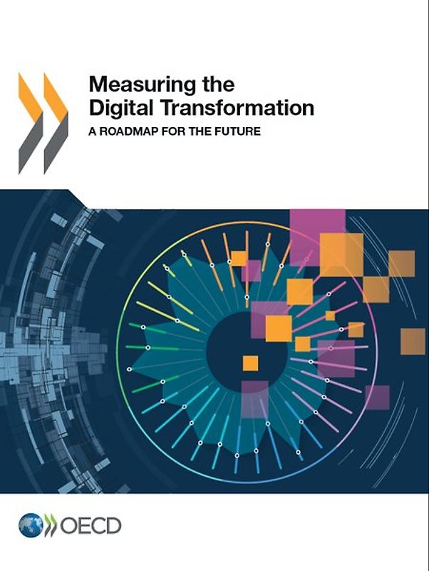 Measuring the Digital Transformation