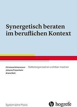 Synergetisch beraten im beruflichen Kontext