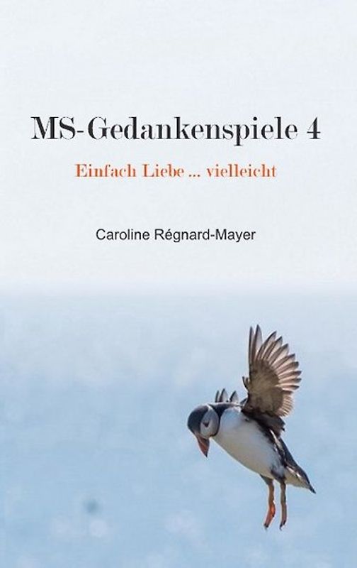 MS-Gedankenspiele 4