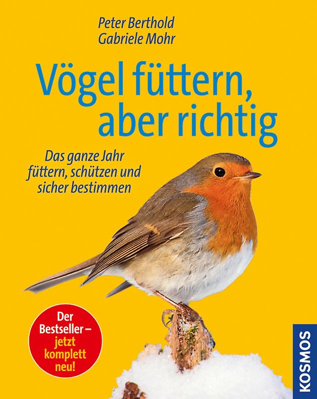Vögel füttern, aber richtig