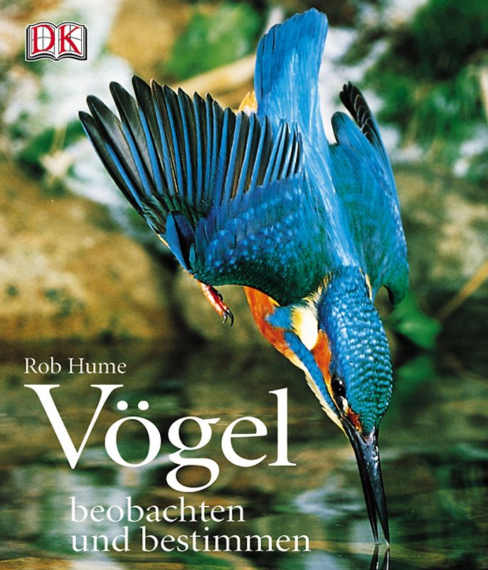 Vögel beobachten und bestimmen