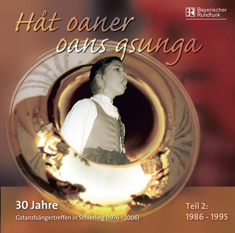 Various - Hat Oaner Oans Gsunga-Teil 2 (1986-1995)