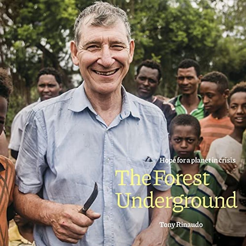 The Forest Underground: Hope for a Planet in Crisis