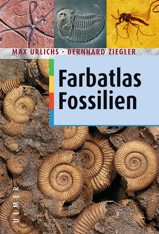 Fossilien