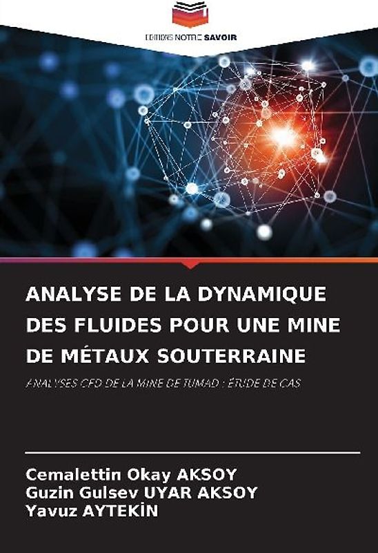ANALYSE DE LA DYNAMIQUE DES FLUIDES POUR UNE MINE DE MÉTAUX SOUTERRAINE