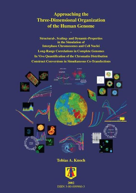 Approaching the three-dimensional organization of the human genome