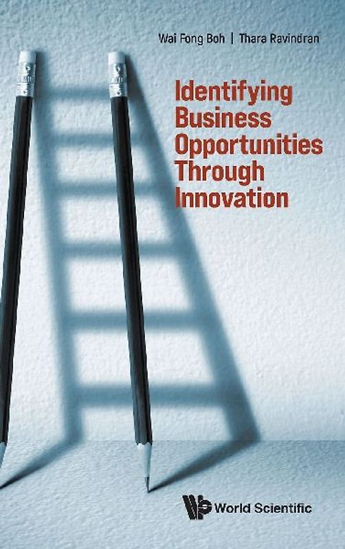 IDENTIFYING BUSINESS OPPORTUNITIES THROUGH INNOVATION