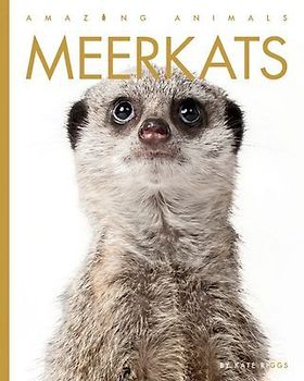 Meerkats